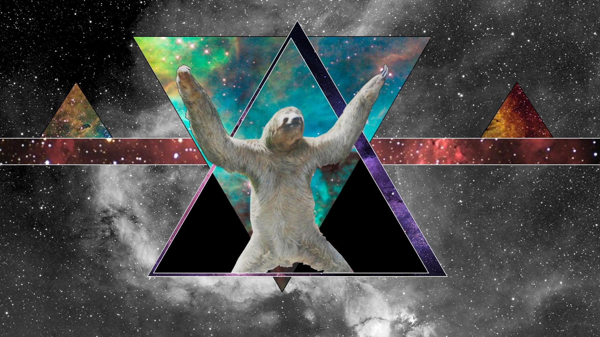 1920x1080 Sloth Wallpaper Free Sloth.wallpaperaccess.com, Desktop