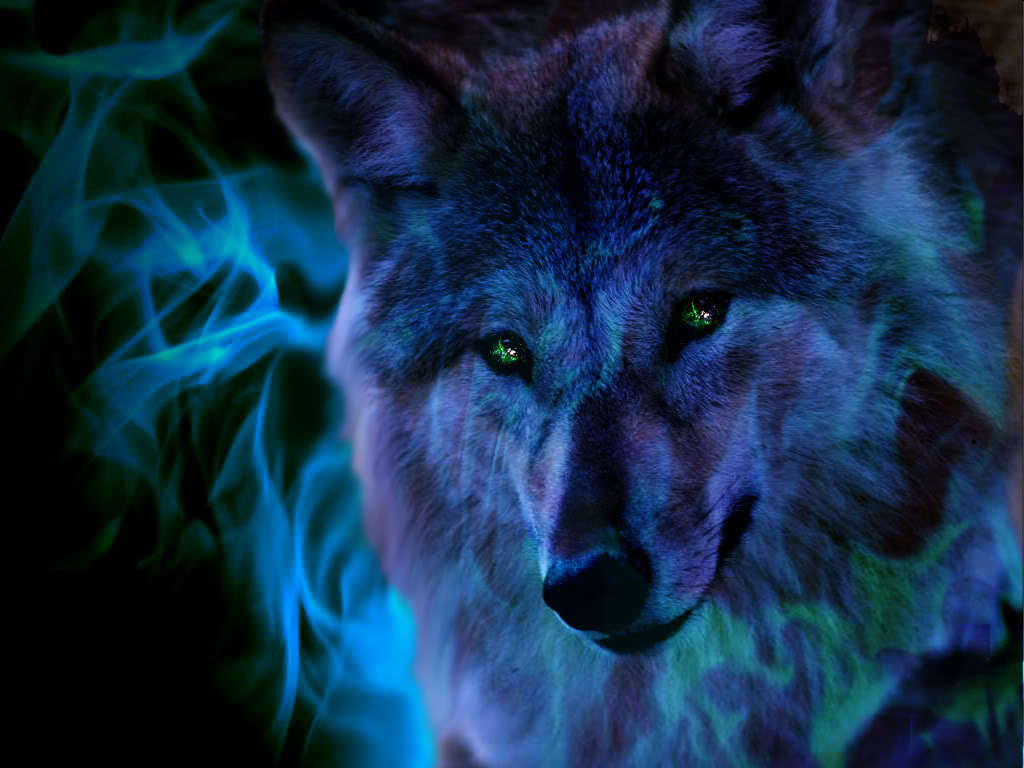 1030x770 Cool Wolf Wallpaper H Yayapz, Desktop