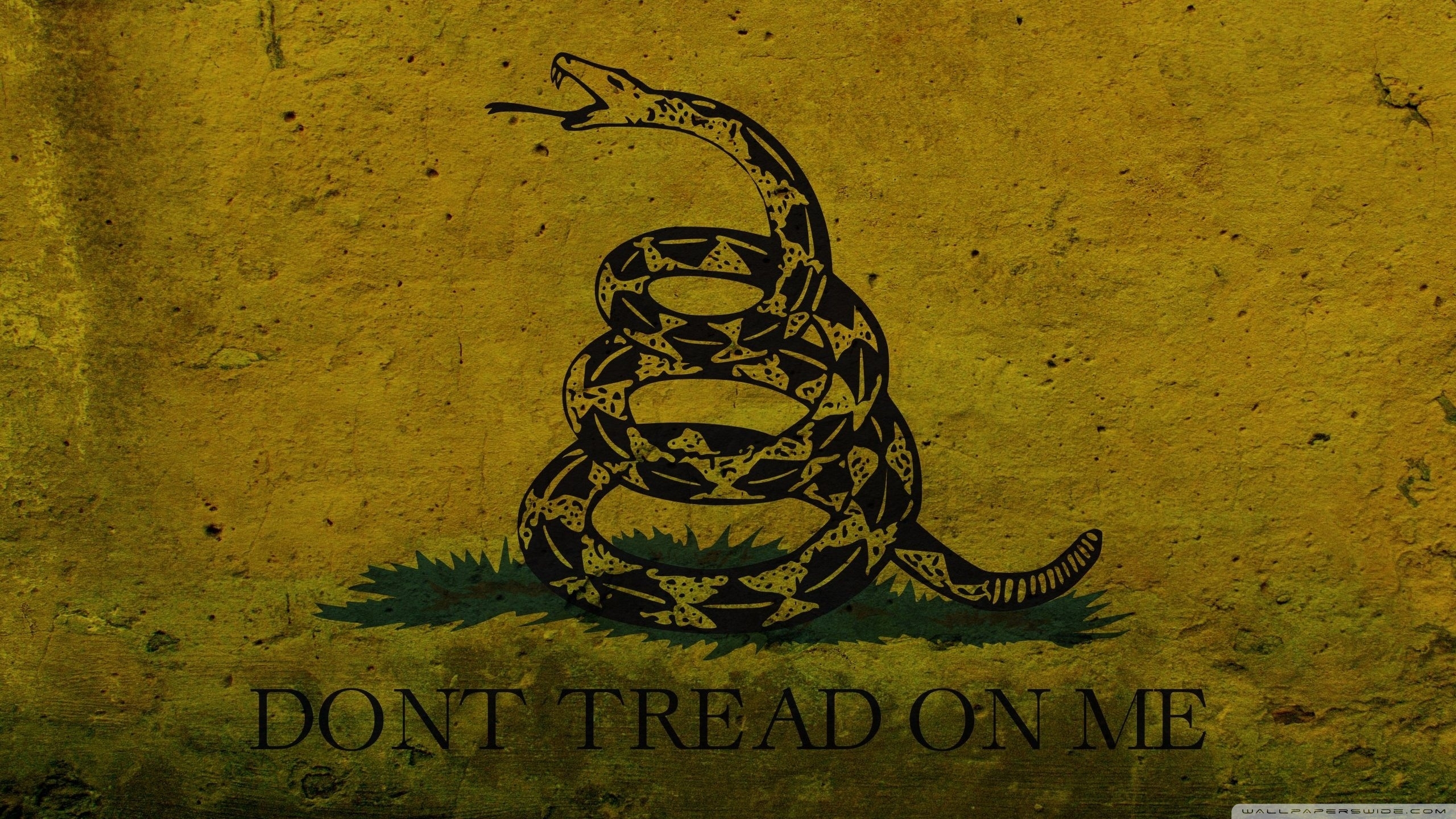 2560x1440 Grunge Don't Tread On Me Gadsden Flag ❤ 4K HD Desktop, Desktop