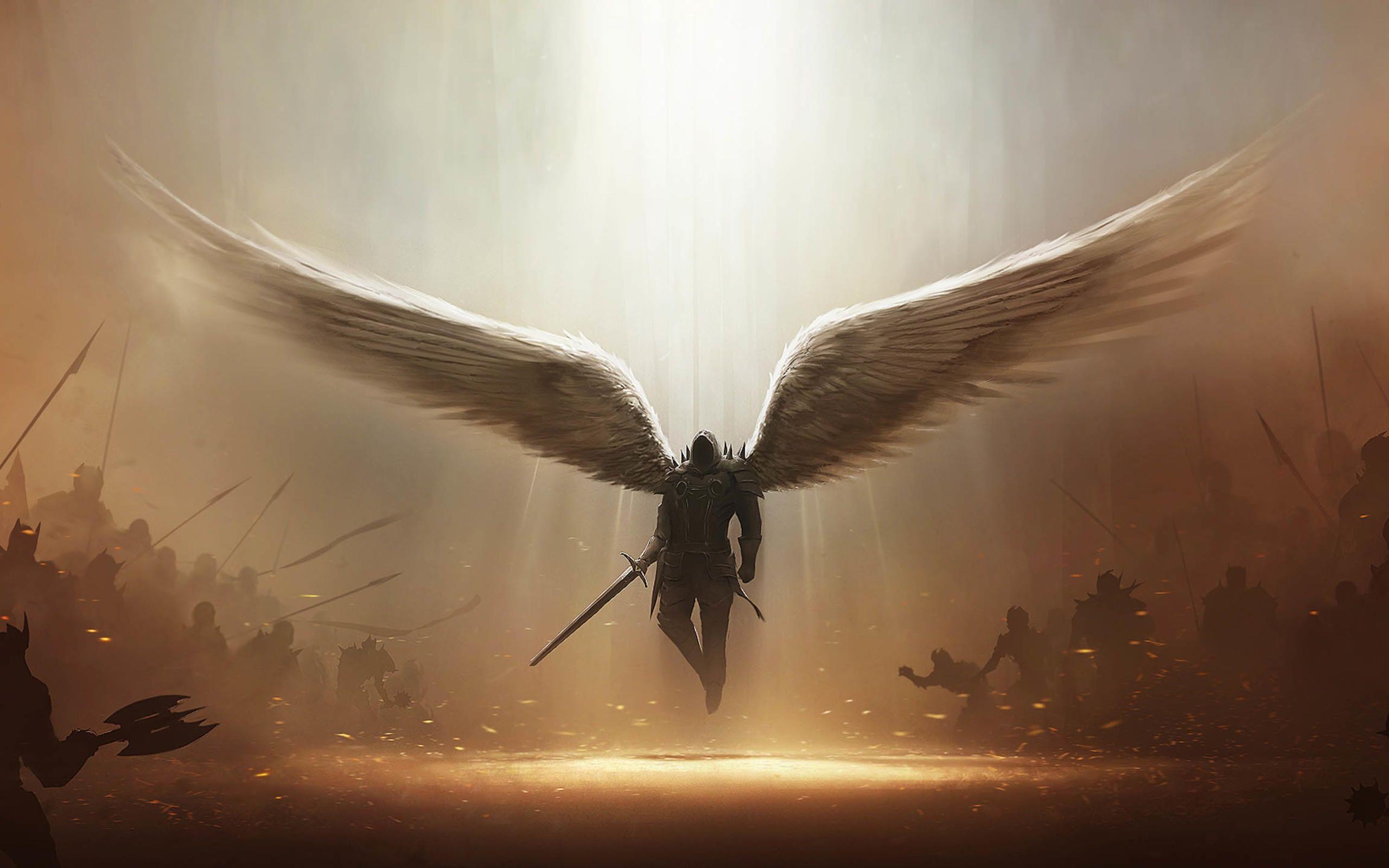 2560x1600 Wings HD Wallpaper and Background Image, Desktop