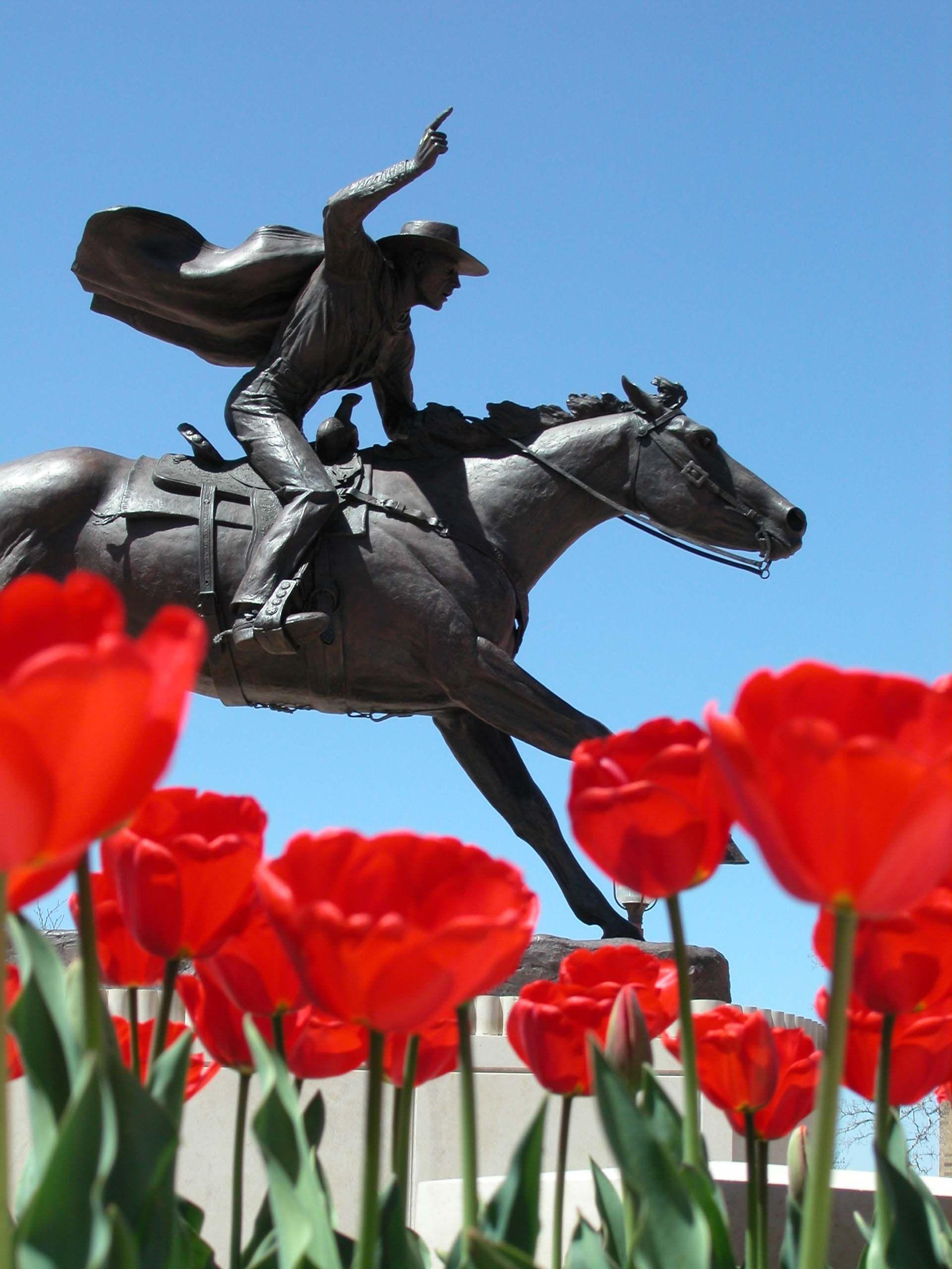 1920x2560 Texas Tech University - Campus Photo Gallery, Phone