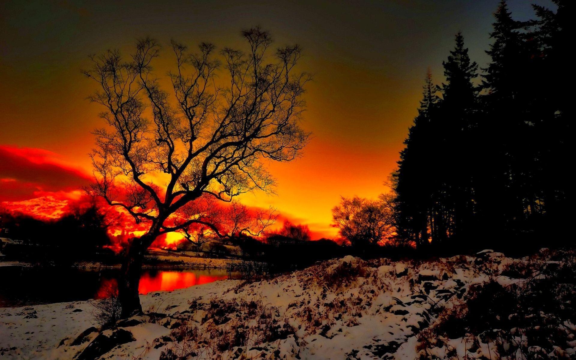 1920x1200 Related Picture Beautiful Winter Sunset Wallpaper Car Picture, Desktop