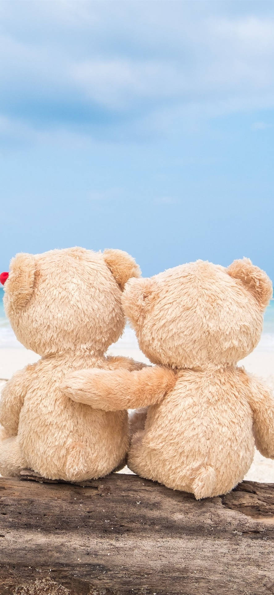 890x1920 Download Teddy Bear Hugging Wallpaper, Phone