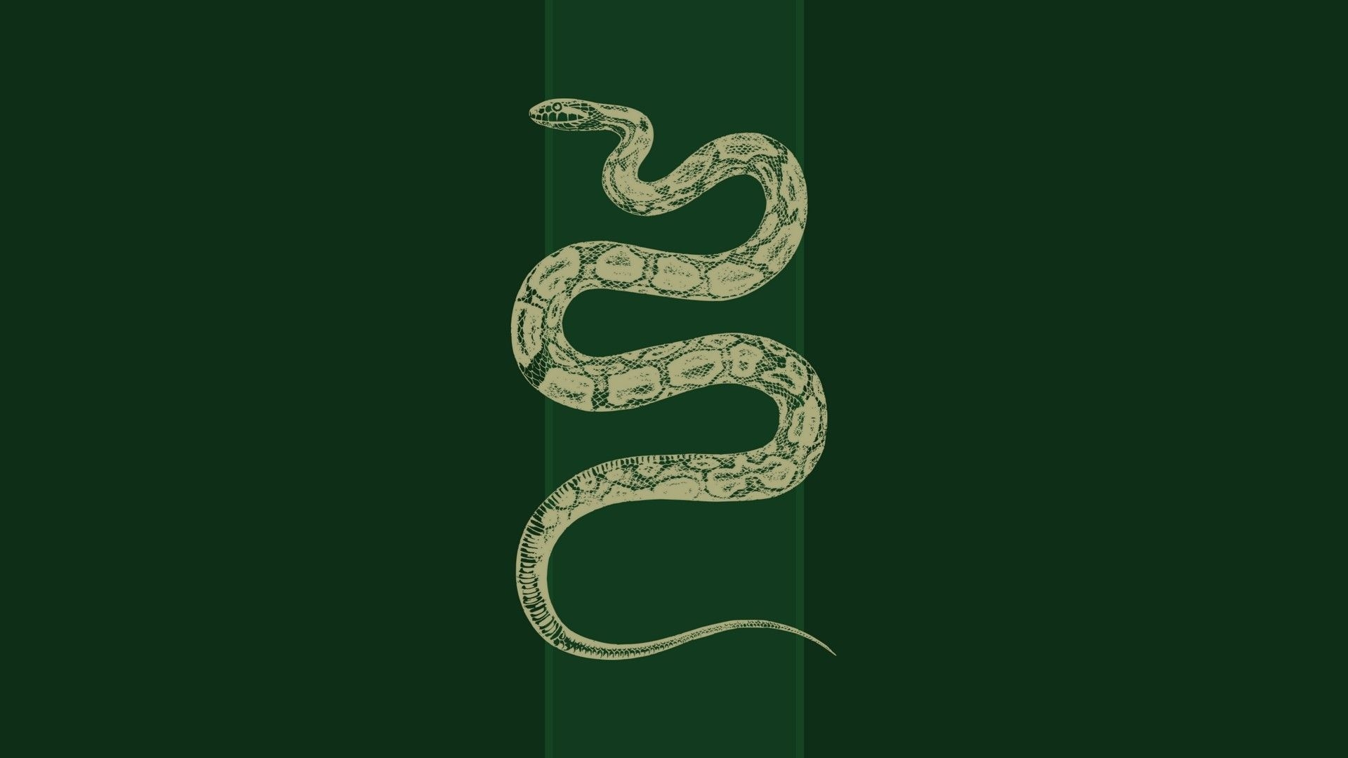 1920x1080 Slytherin Laptop Wallpaper Free Slytherin Laptop Background, Desktop