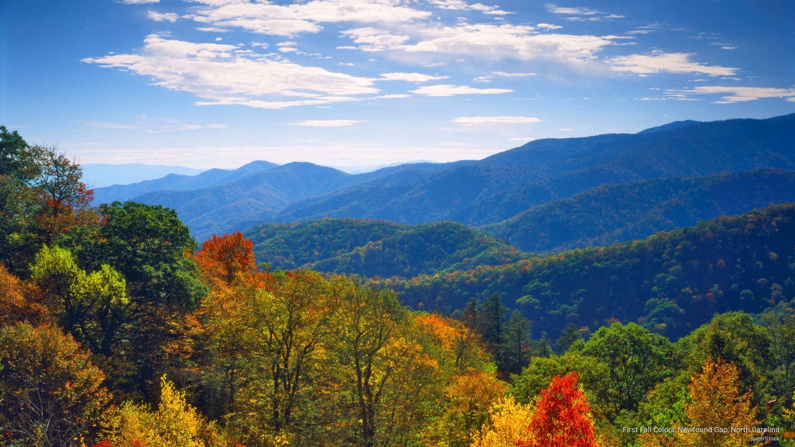 2560x1440 Smoky Mountain Fall Wallpaper, Desktop