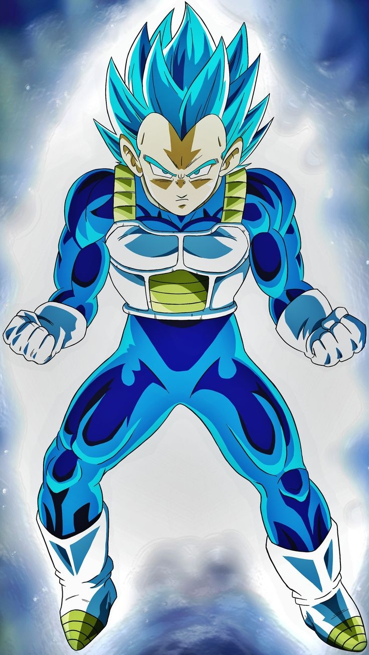 740x1310 Vegeta Super Saiyan Blue Wallpaper, Phone