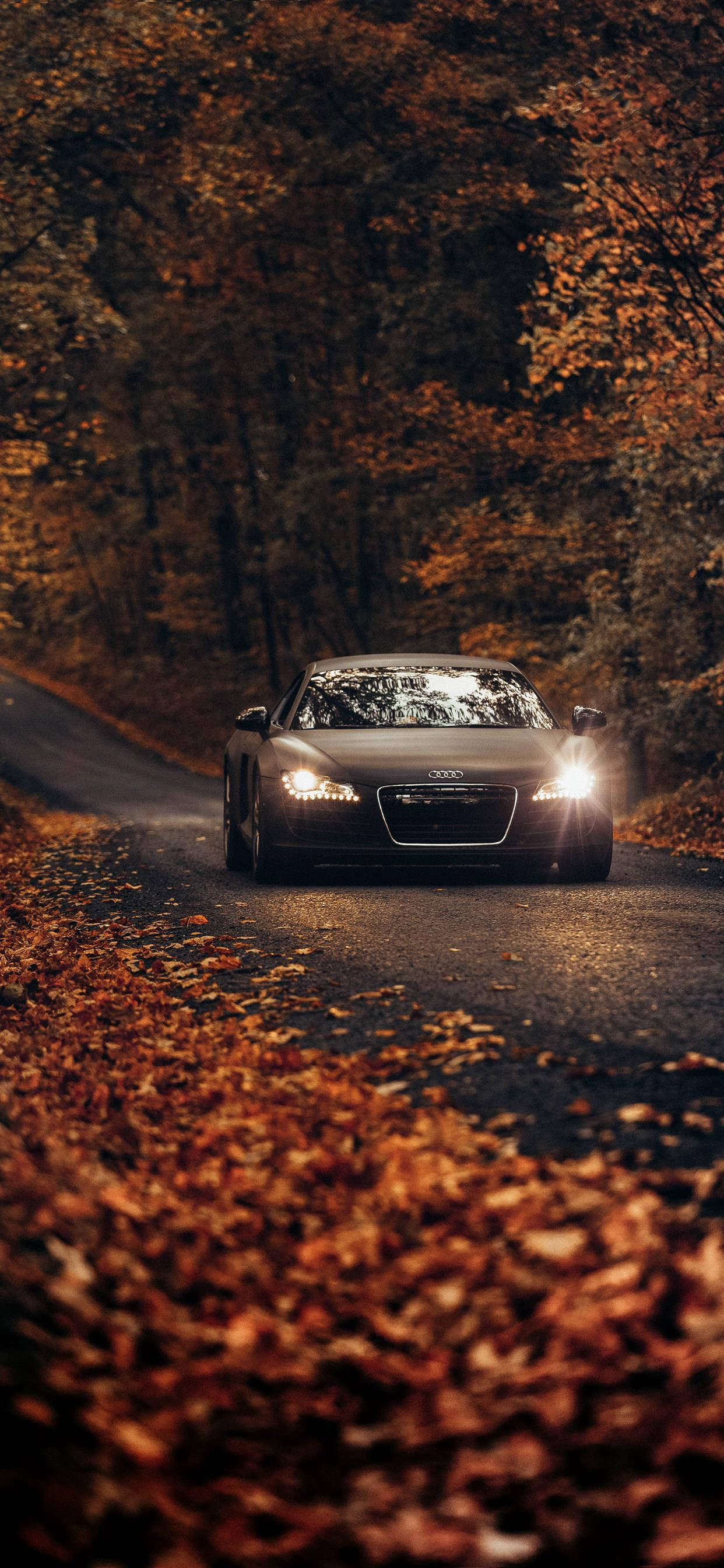 1250x2690 Download iPhone X Car Audi R8 Autumn Wallpaper, Phone