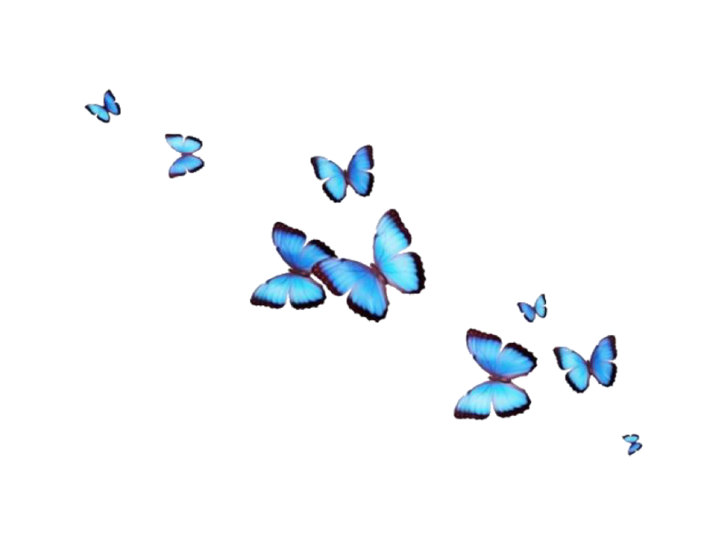 1030x770 Transparent Butterfly Cute Aesthetic Butterfly Wallpaper, Desktop