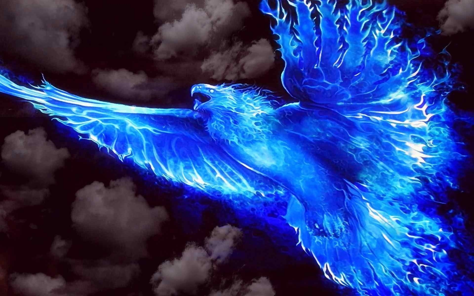 1920x1200 Blue Eagle Wallpaper Free Blue Eagle Background, Desktop