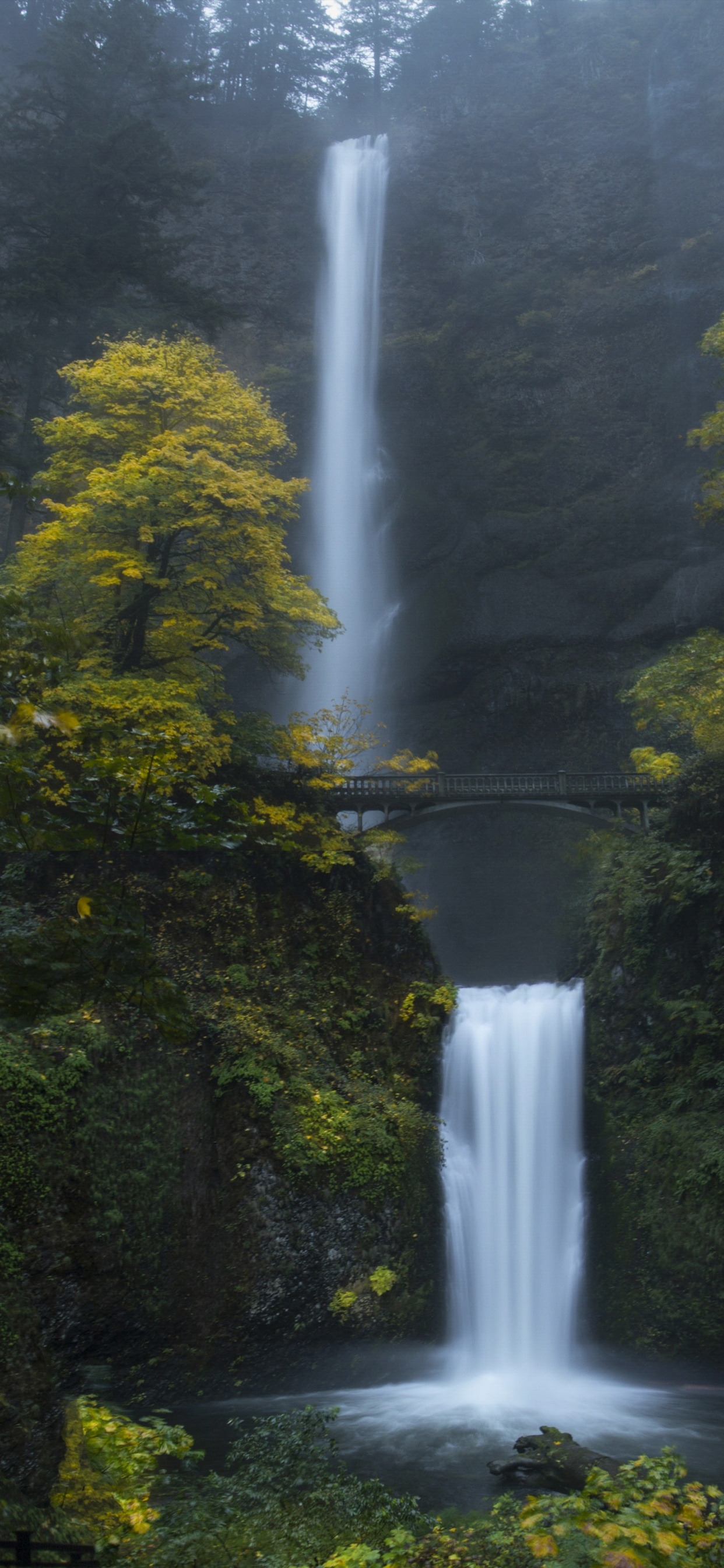 1250x2690 Multnomah Falls Wallpaper 4K, Oregon, Forest, Waterfalls, Green Moss, Rocks, Nature, Phone