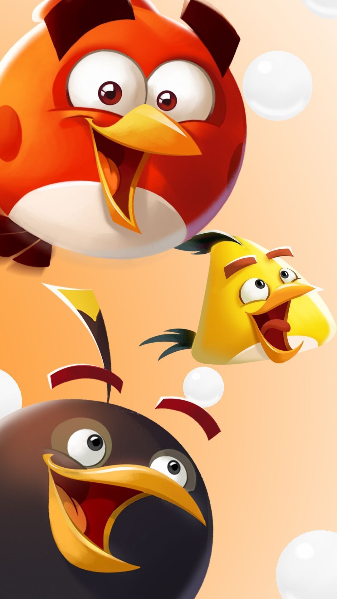 1080x1920 Angry Birds Winter Phone Wallpaper For Holidays Youloveit - Энгри, Phone