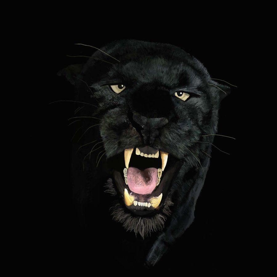 900x900 Black Panther HD Wallpaper Background Wallpaper. Noir, Phone