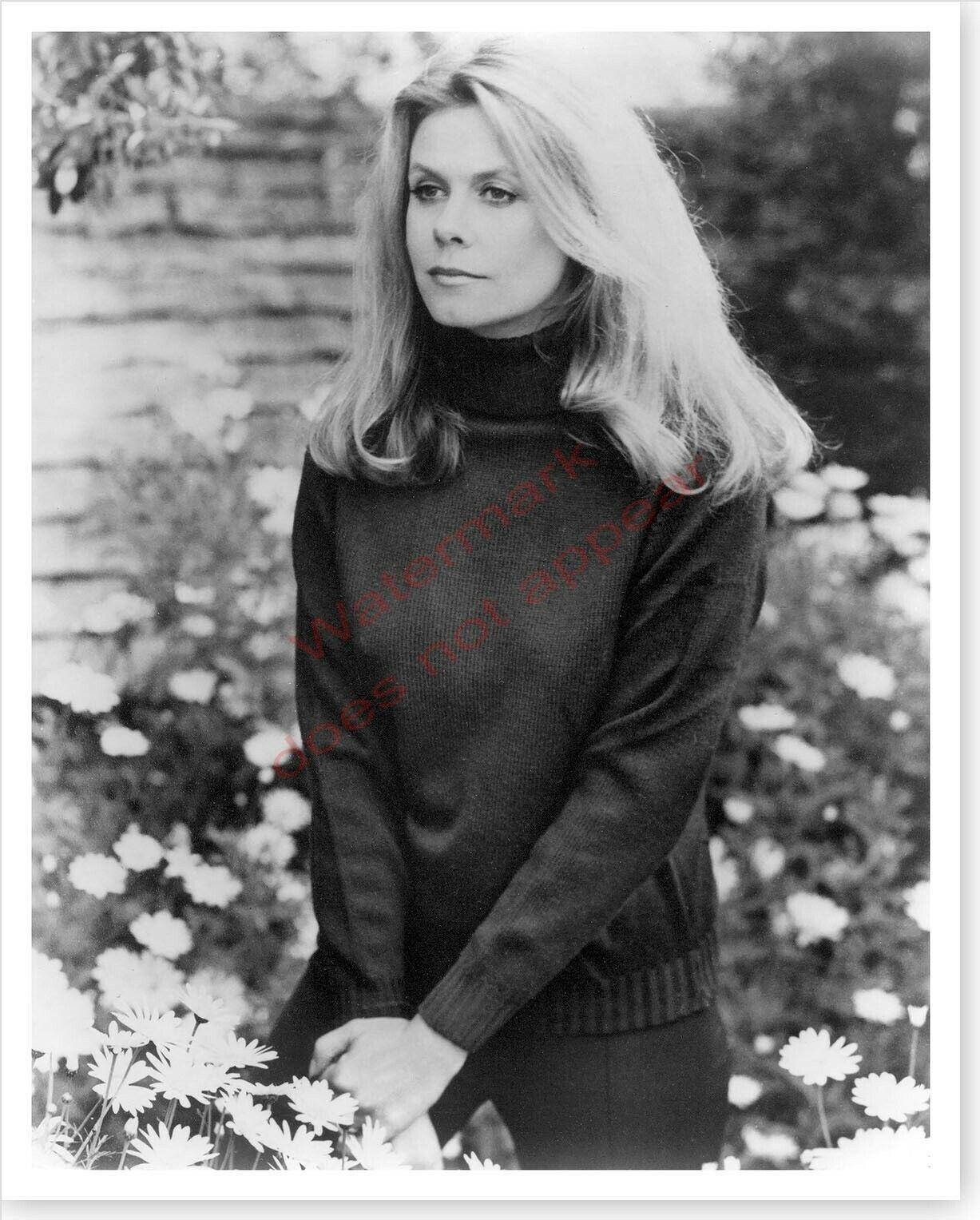 1230x1530 Actress Elizabeth Montgomery Silver Halide Publicity Photo, Phone