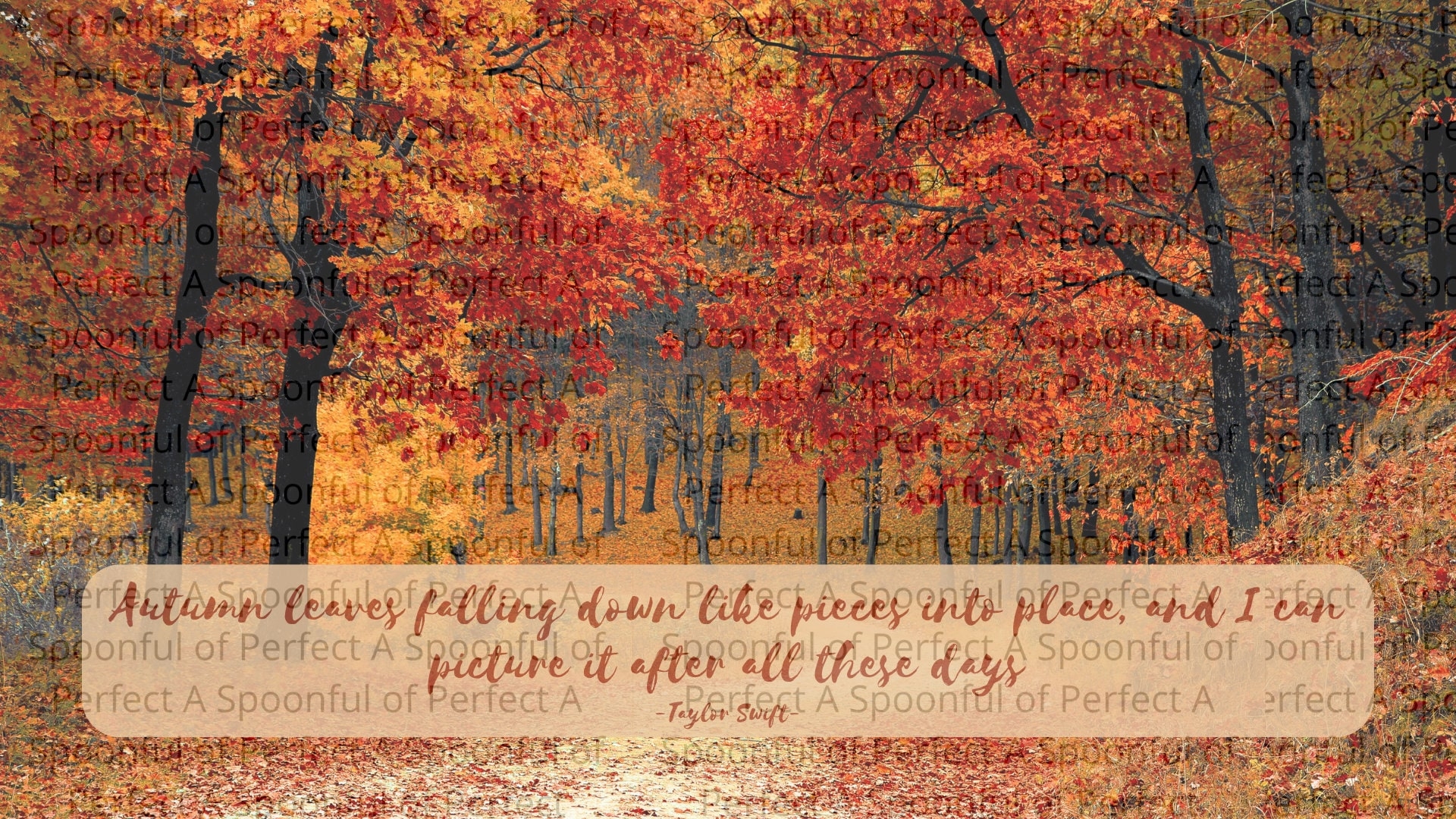 1920x1080 Autumn Leaves Computer Wallpaper Taylor, Desktop