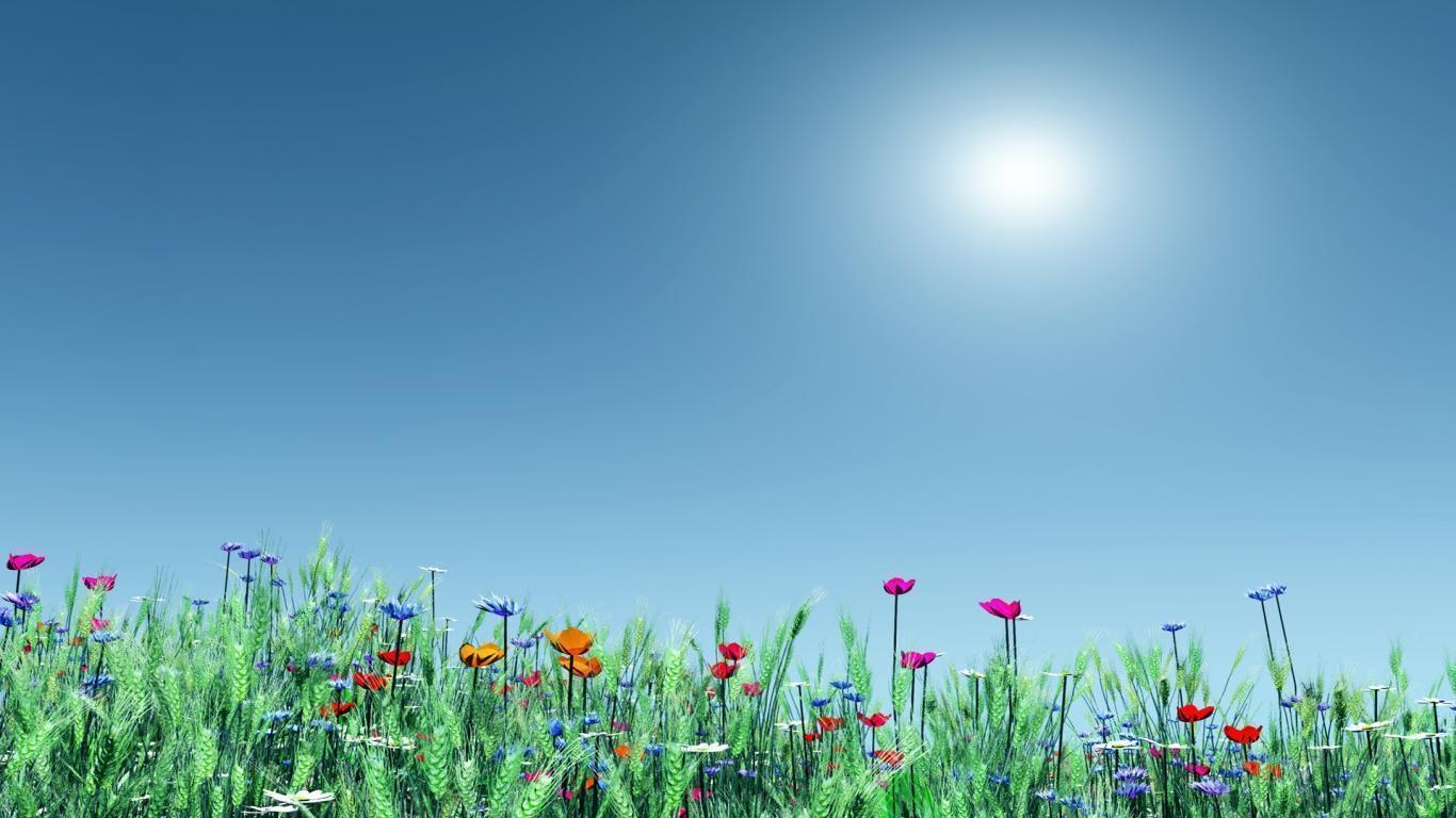 1370x770 Summer Flowers Background Background 1 HD Wallpaper. Hdimges, Desktop