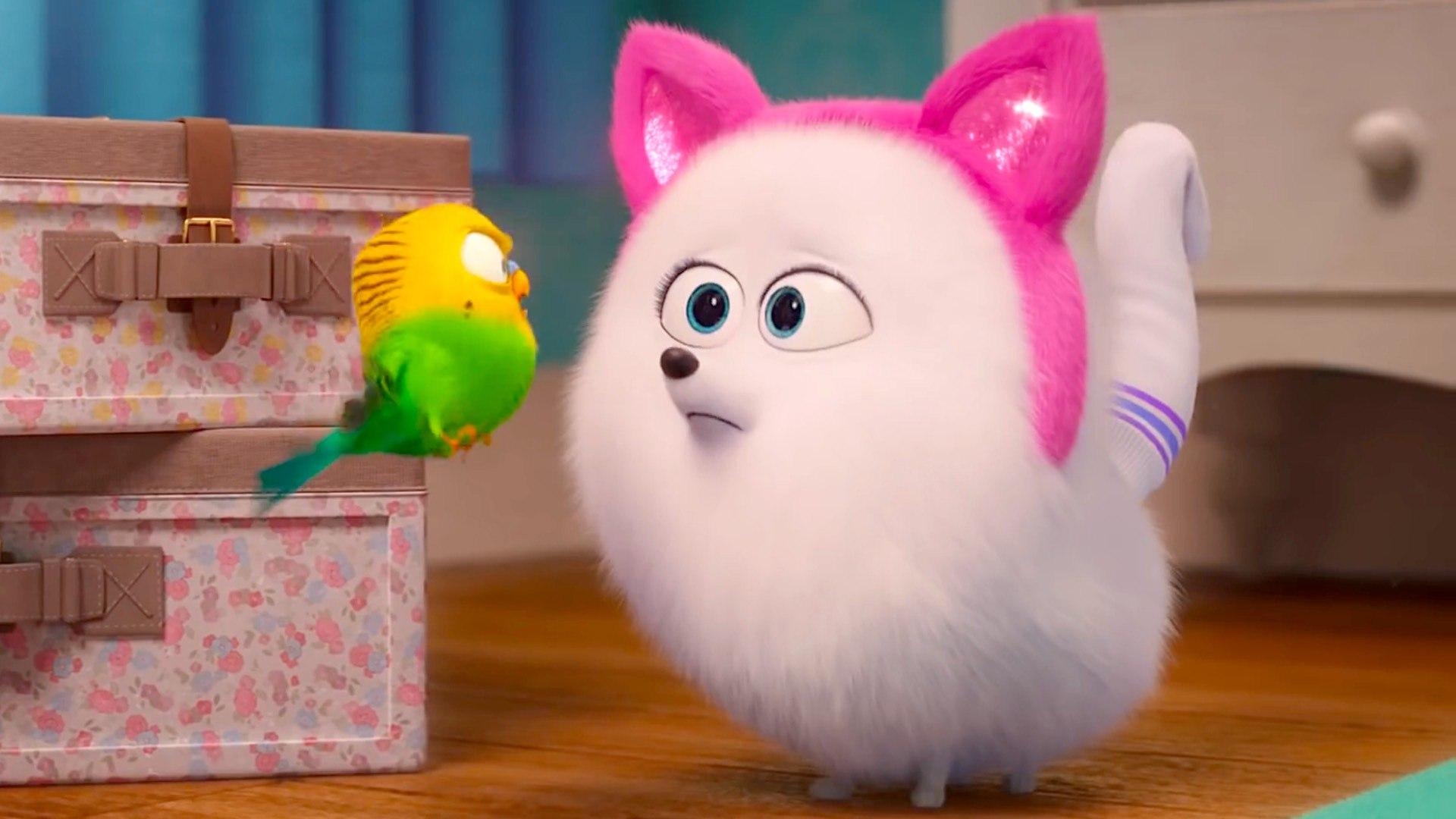 1920x1080 The Secret Life Of Pets 2, Desktop