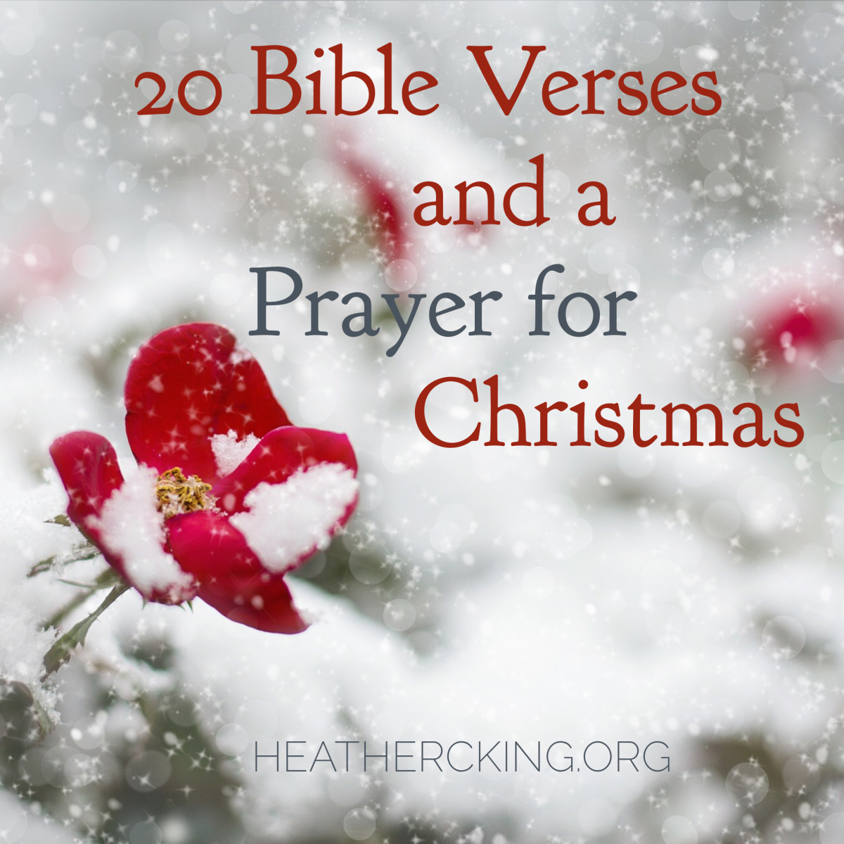 1200x1200 Bible Verses and a Prayer for Christmas, Phone