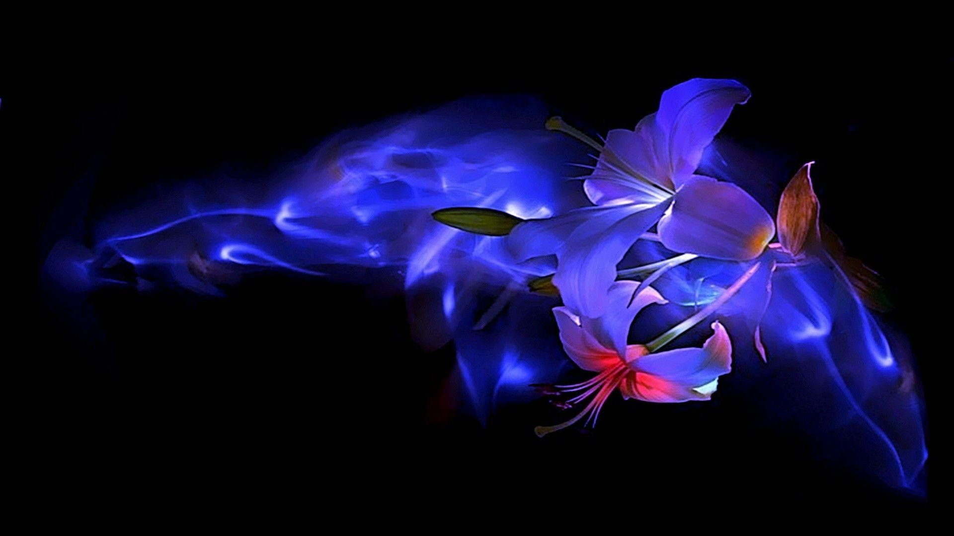 1920x1080 Flower: Blue Romances Caring Beauty Tulips Love Flower Abstract, Desktop