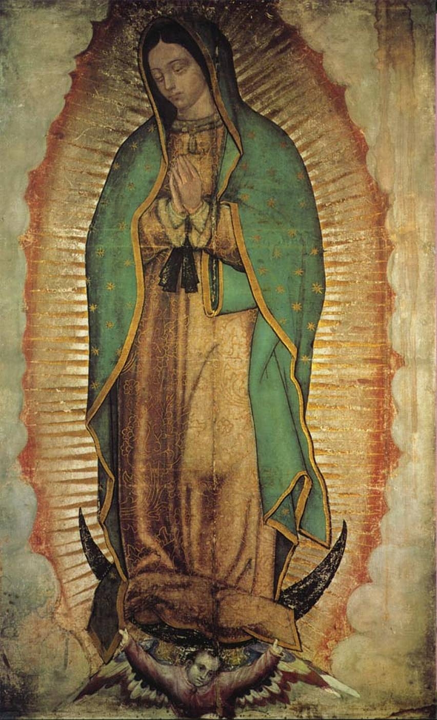 860x1410 Basilica Of Our Lady Of Guadalupe Wallpaper & Background Download, Phone