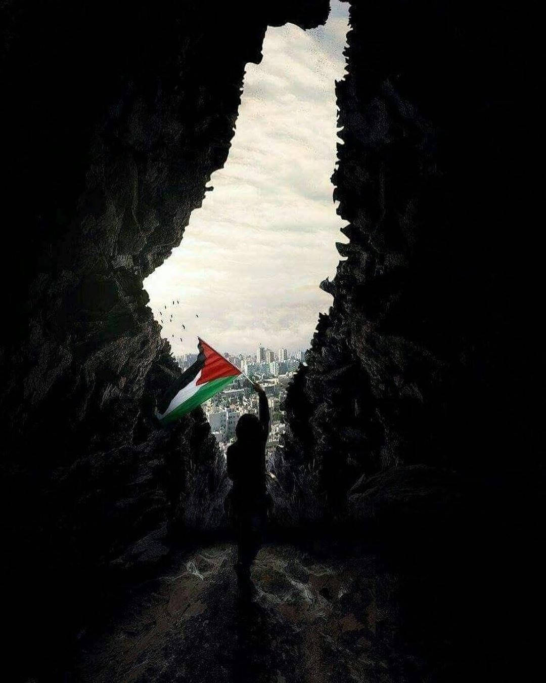 1080x1350 Cave View Of Palestine Flag Wallpaper, Phone