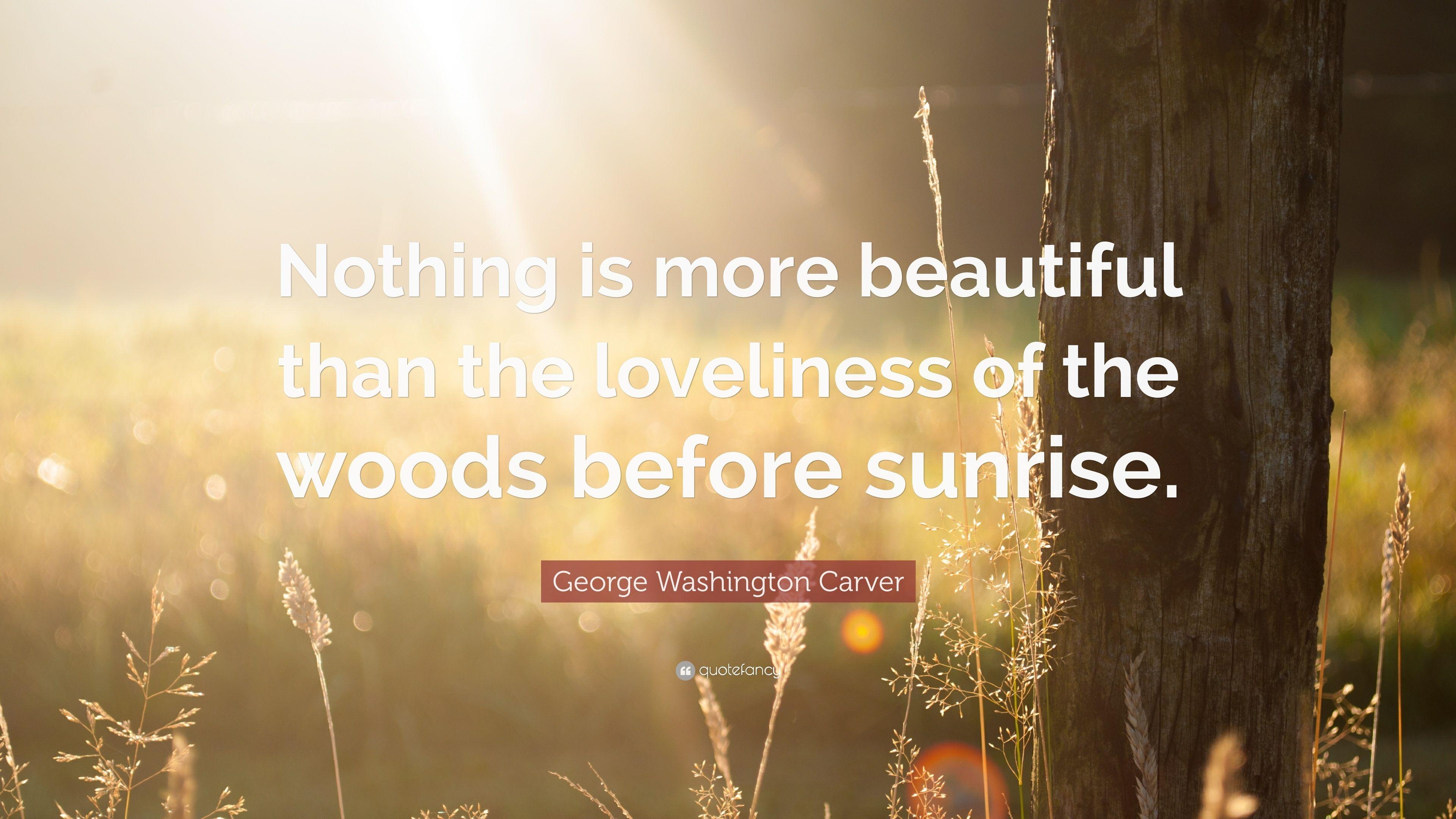 3840x2160 George Washington Carver Quote: “Nothing is more beautiful than, Desktop