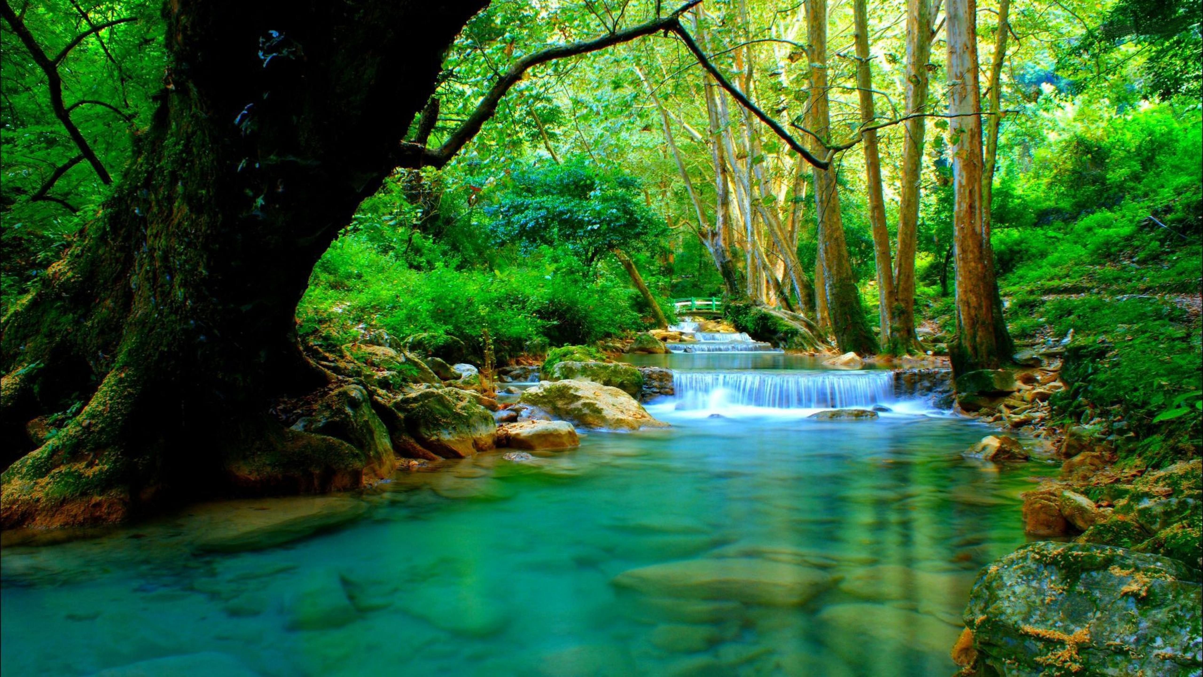 5120x2880 Forest River With Cascades Turquoise Water Rocks Trees Desktop, Desktop