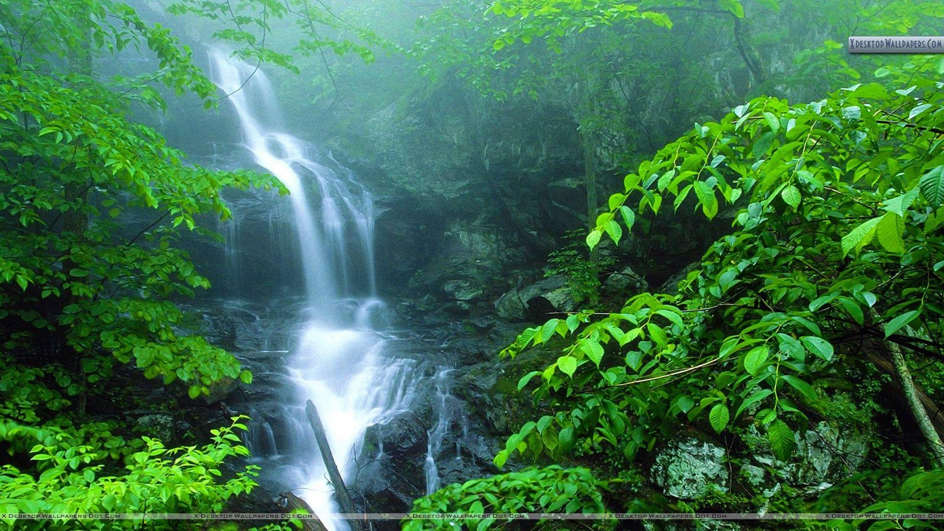 1920x1080 Lower Doyles River Falls, Shenandoah National Park, Virginia Wallpaper, Desktop