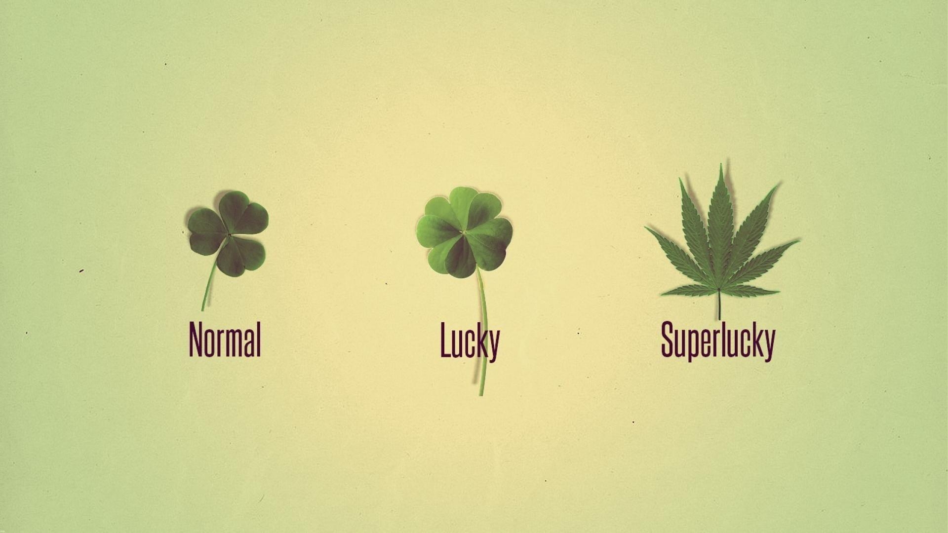 1920x1080 Marijuana lucky wallpaper, Desktop