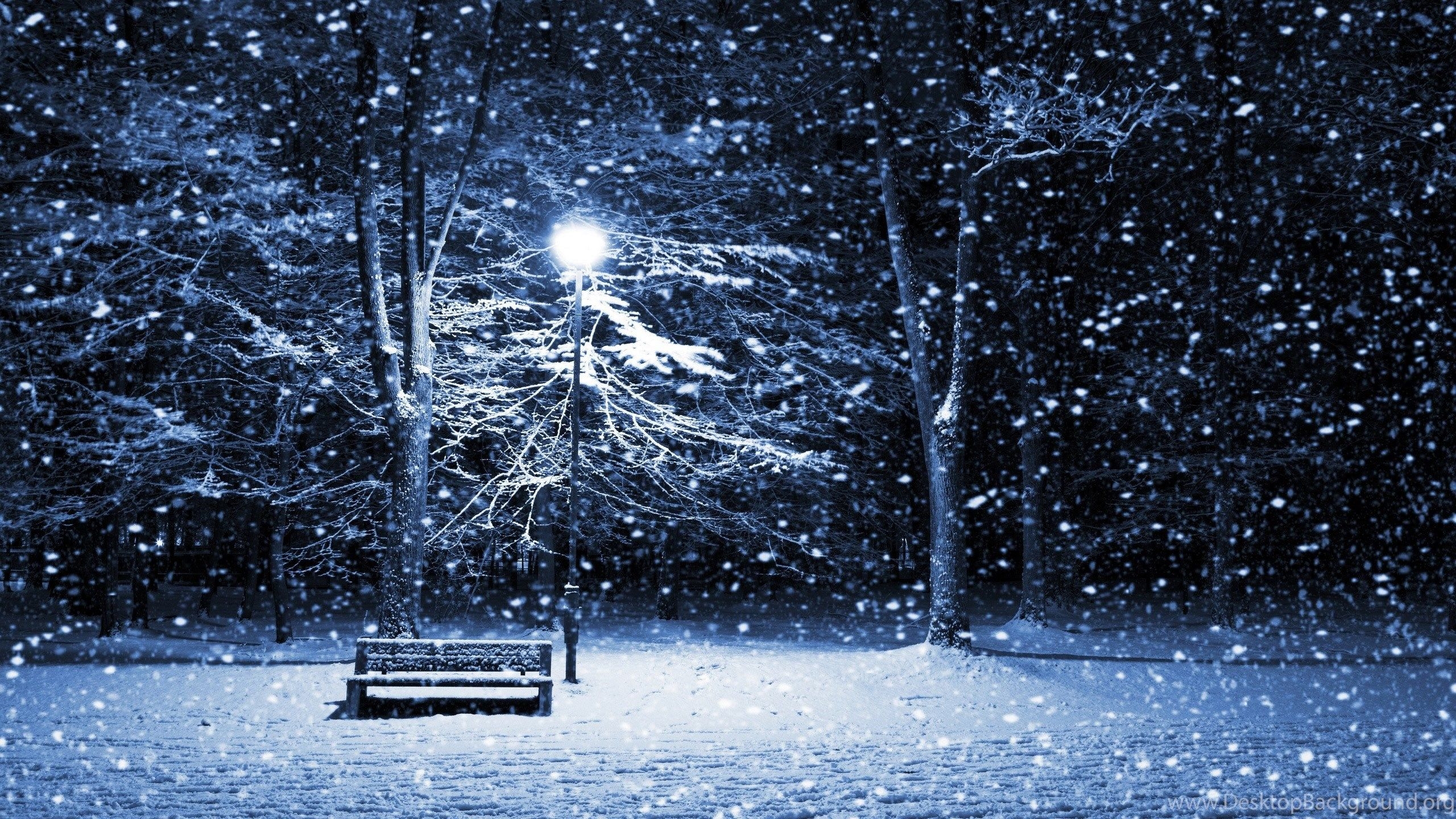 2560x1440 HD Dark Winter Night Background Wallpaper, Desktop