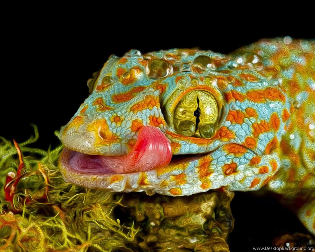 1280x1030 3D Tokay Gecko Desktop Background, Desktop