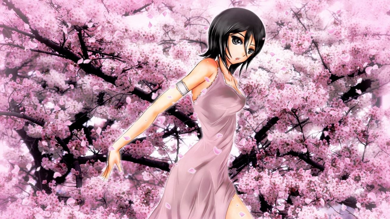 1280x720 Download wallpaper  anime, girl, garden, flower, sakura, Desktop