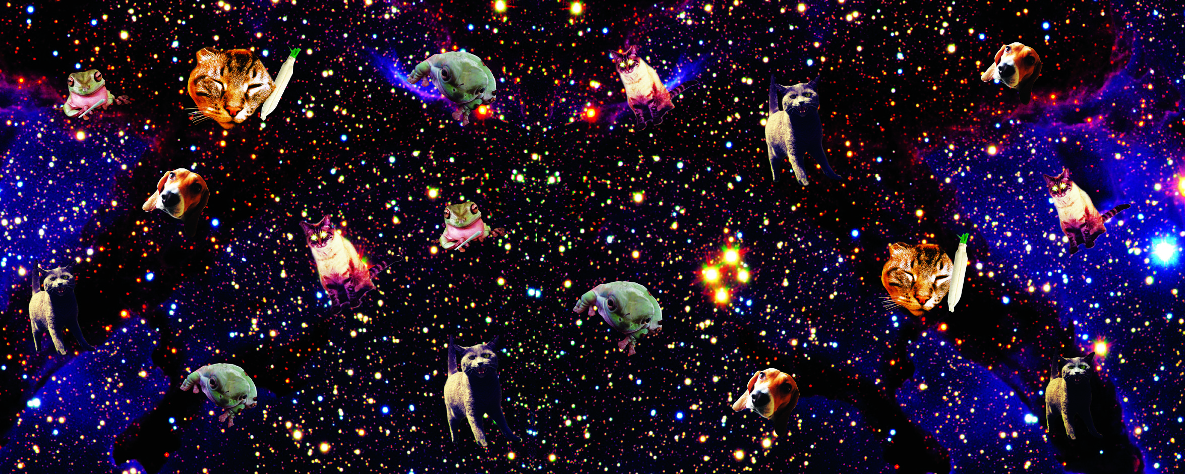 2350x940 Free download kitty babe in space cat graphic wallpaper Footprint Insole [] for your Desktop, Mobile & Tablet. Explore Space Kitty Wallpaper. Space Cats HD Wallpaper, Space Desktop Wallpaper HD, Dual Screen