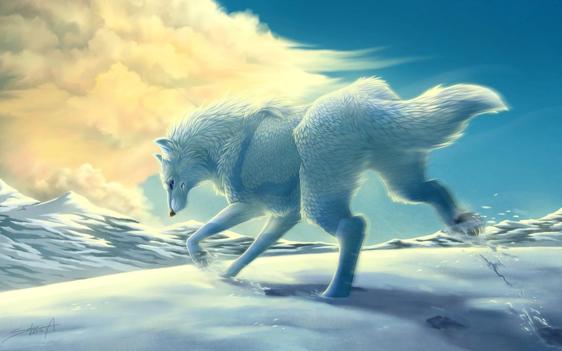 1920x1200 Wolf wallpaper  desktop background, Desktop