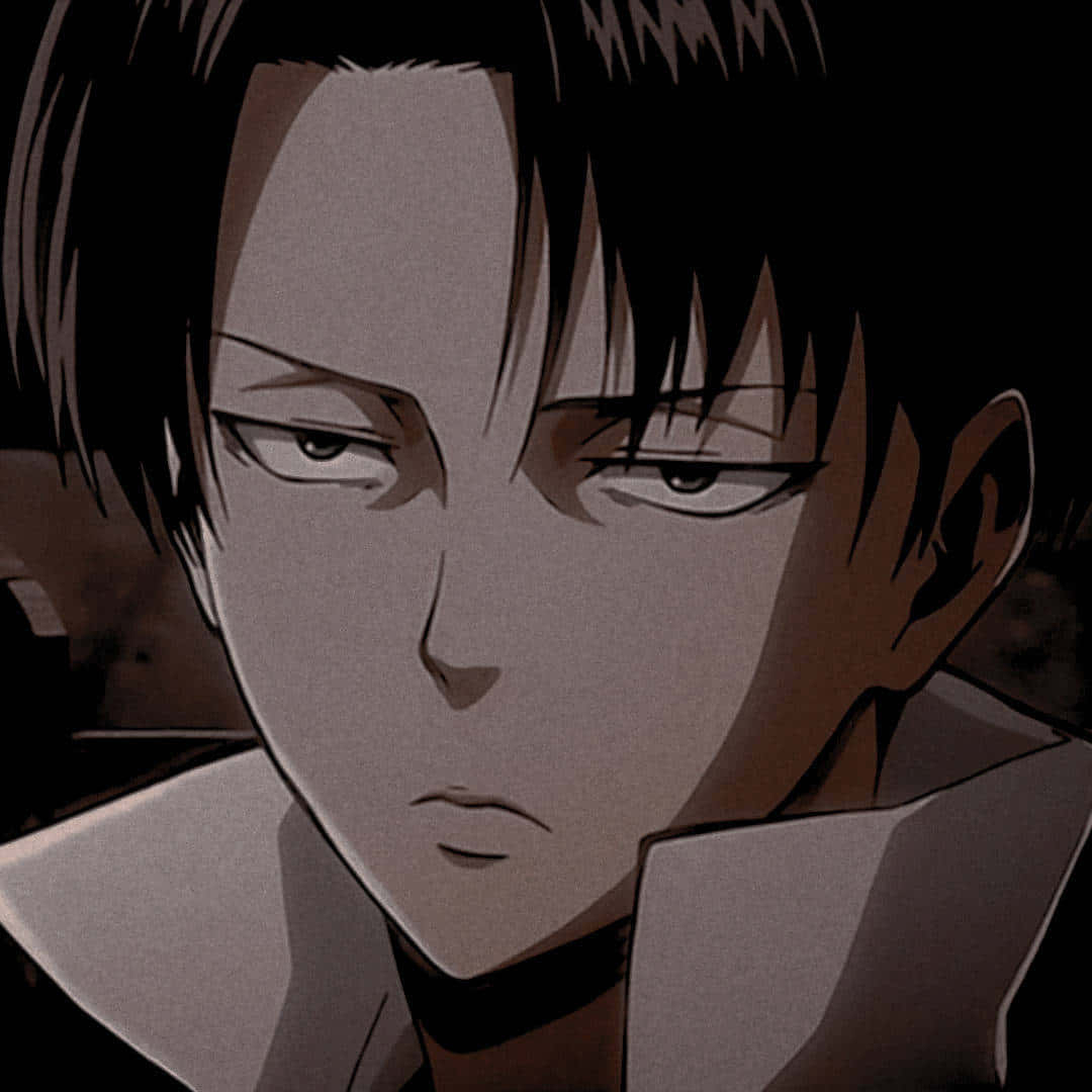 1080x1080 Download Levi Pfp Close Up Wallpaper, Phone