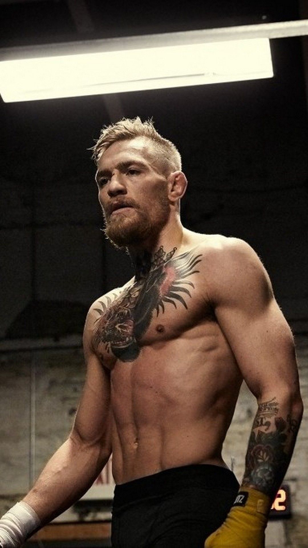 1080x1920 Conor McGregor Wallpaper For Mobile iPhone Wallpaper. Conor mcgregor wallpaper, Mcgregor wallpaper, Conor mcgregor style, Phone