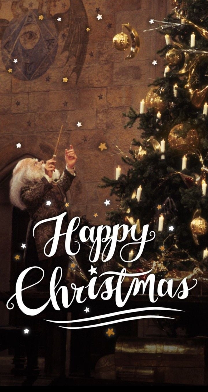 720x1360 HarryPotter Christmas background. Harry potter christmas, Harry potter background, Christmas background, Phone