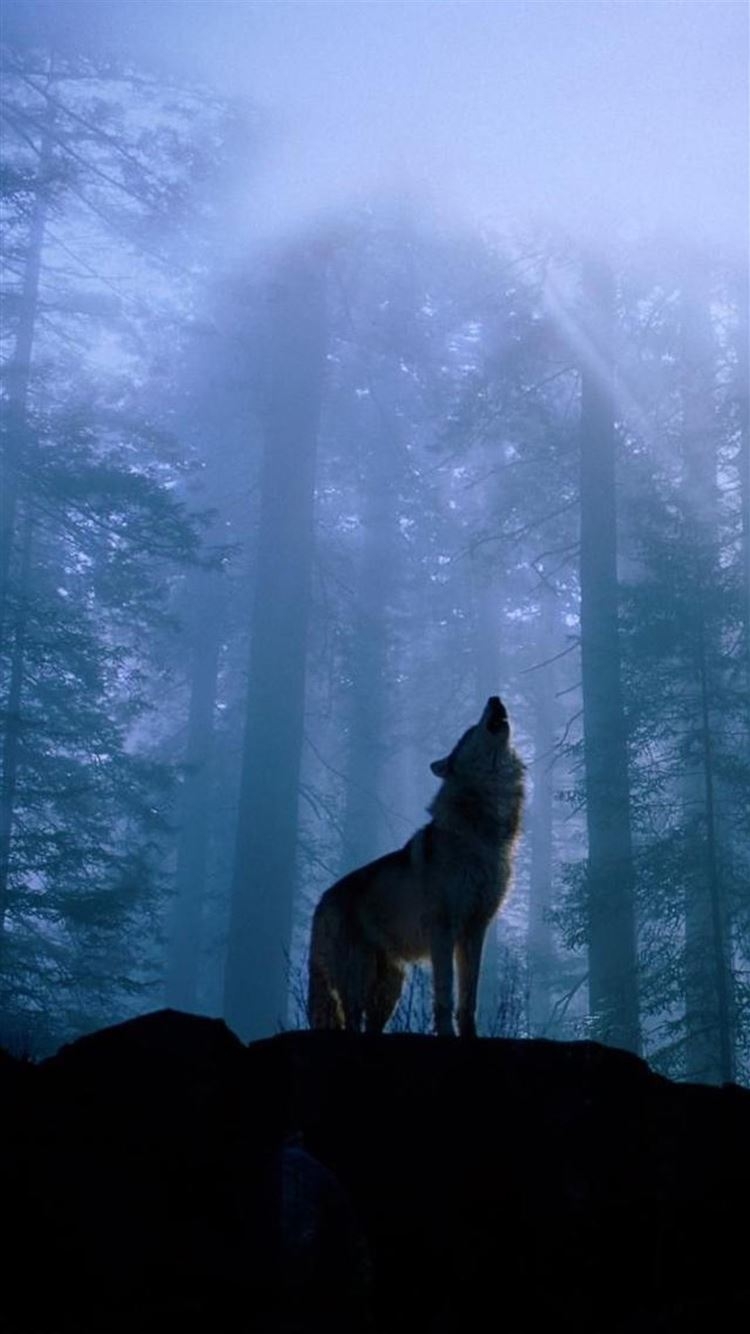 750x1340 Twilight Foggy Forest Wolf Howl iPhone 8 Wallpaper Free Download, Phone