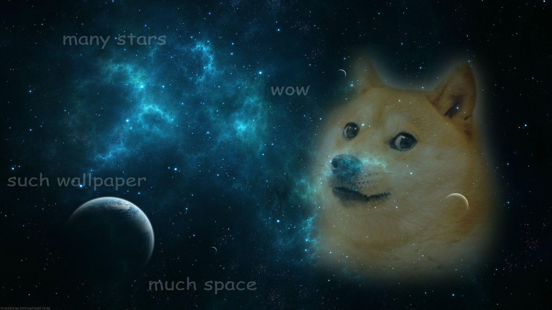 1920x1080 Doge, Wallpaper and Search, Desktop