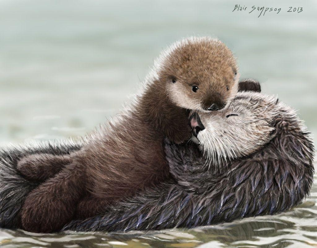 1030x810 Cute Sea Otter Pup Wallpaper Image & Picture, Desktop