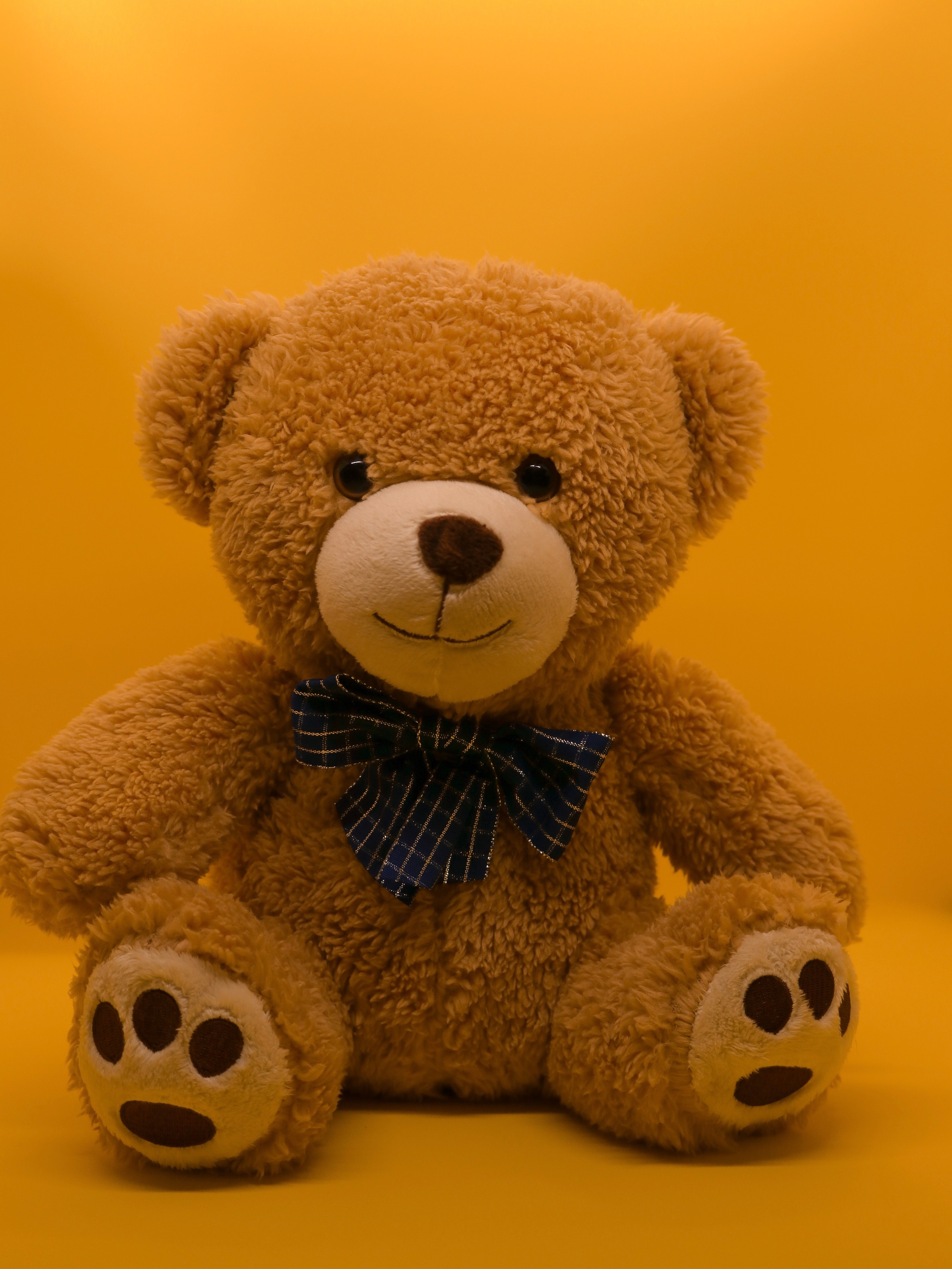 4000x5340 Big teddy bear Wallpaper Download, Phone