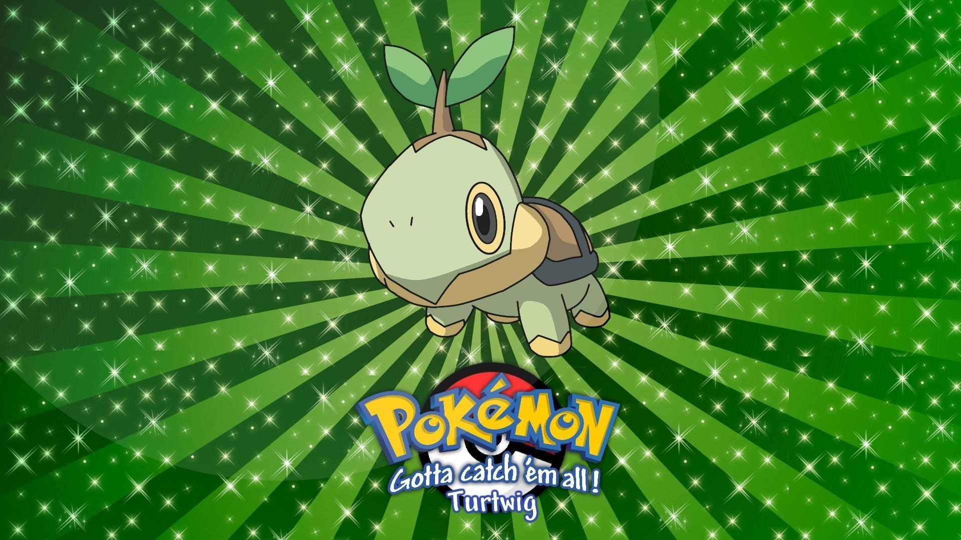 1920x1080 Turtwig Wallpaper. HD Wallpaper. Wallpaper, HD, Desktop