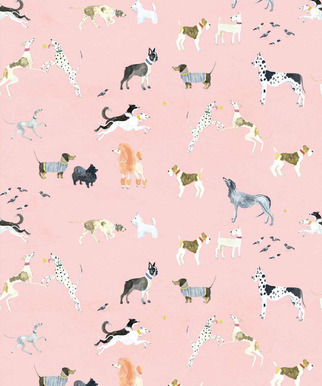 1100x1320 Doggies Wallpaper • Fun Wallpaper for Dog Lovers USA, Phone