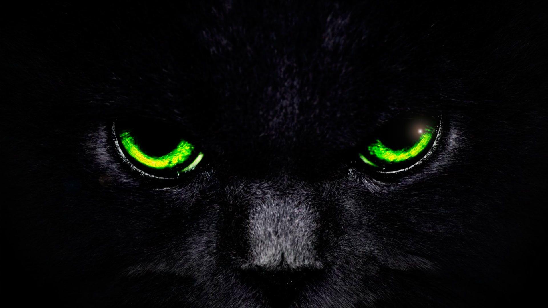 1920x1080 CAT EYES WALLPAPER, Desktop