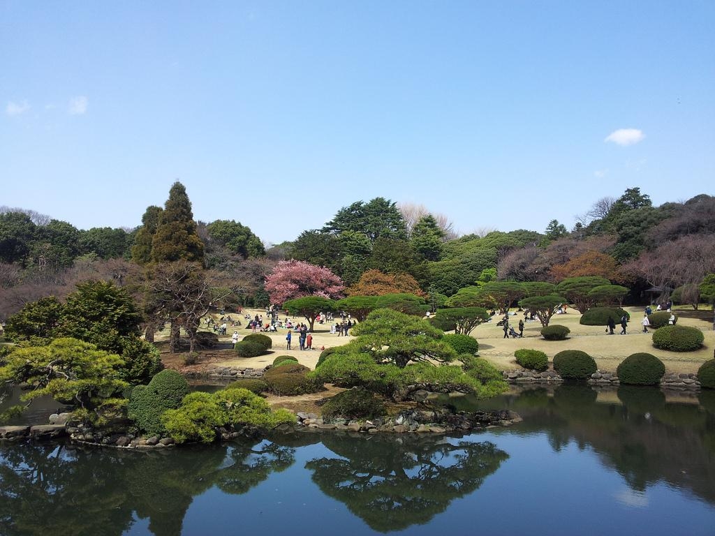 1030x770 Shinjuku Gyoen. Shinjuku Gyoen National Garden, Desktop