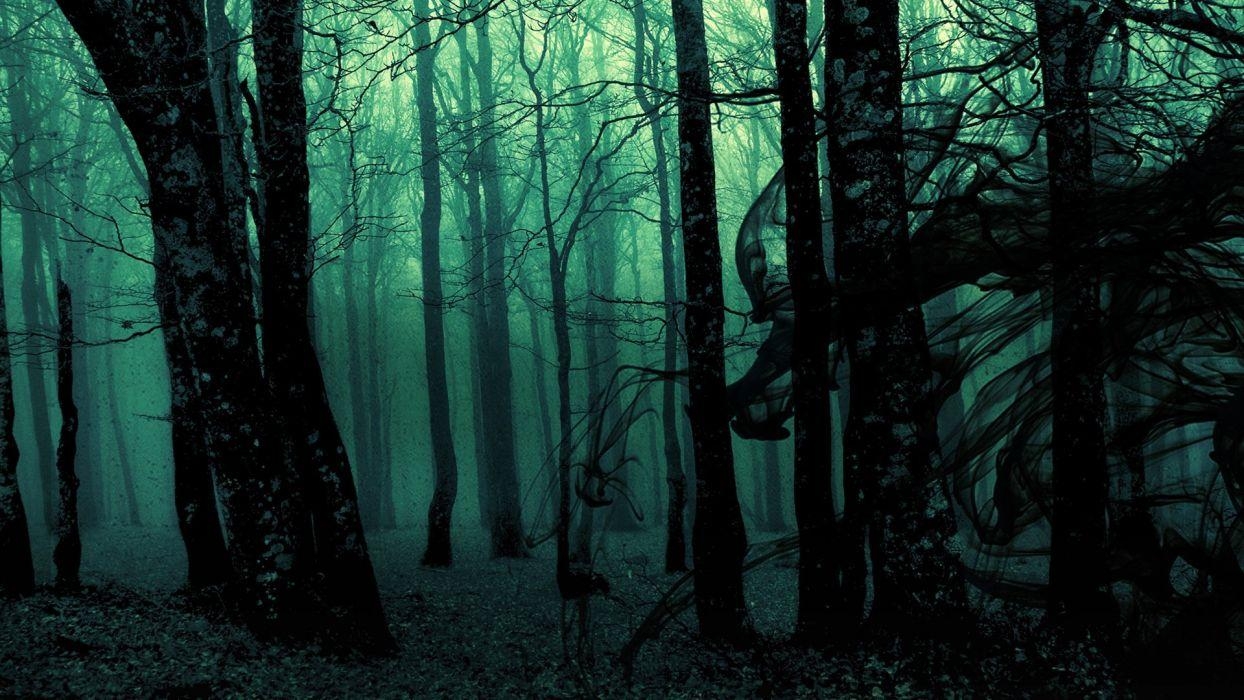 1250x700 Dark ghost gothic wood trees fantasy evil horror wallpaper, Desktop