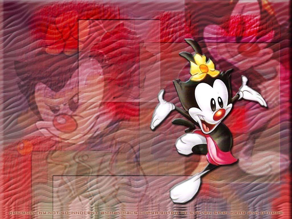 1030x770 Wallpaper animaniacs y fenomenoide!, Desktop