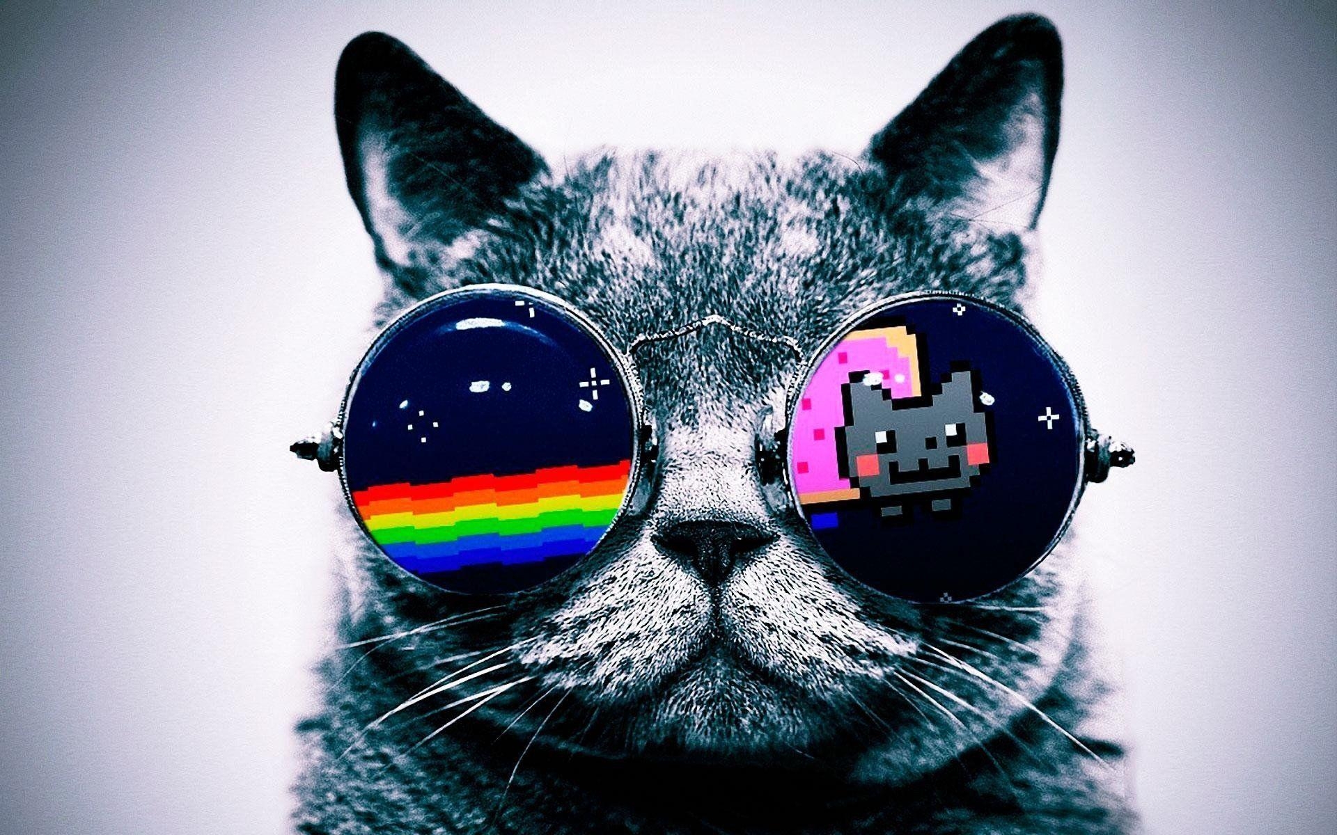 1920x1200 Nyan Cat Wallpaper Free Download. HD Wallpaper, Background, Desktop