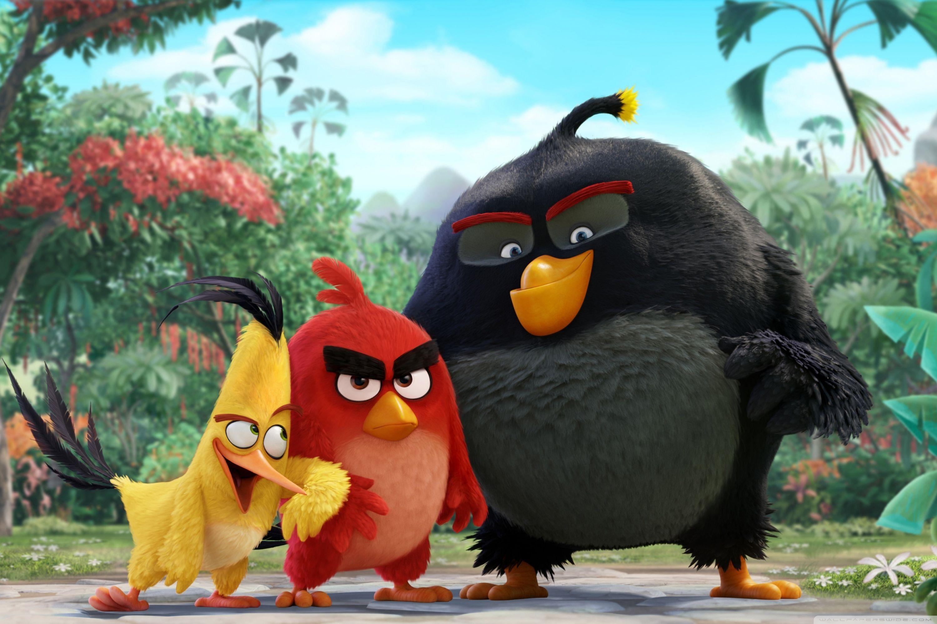 3000x2000 Angry Birds Movie 2016 HD desktop wallpaper, Widescreen, High, Desktop