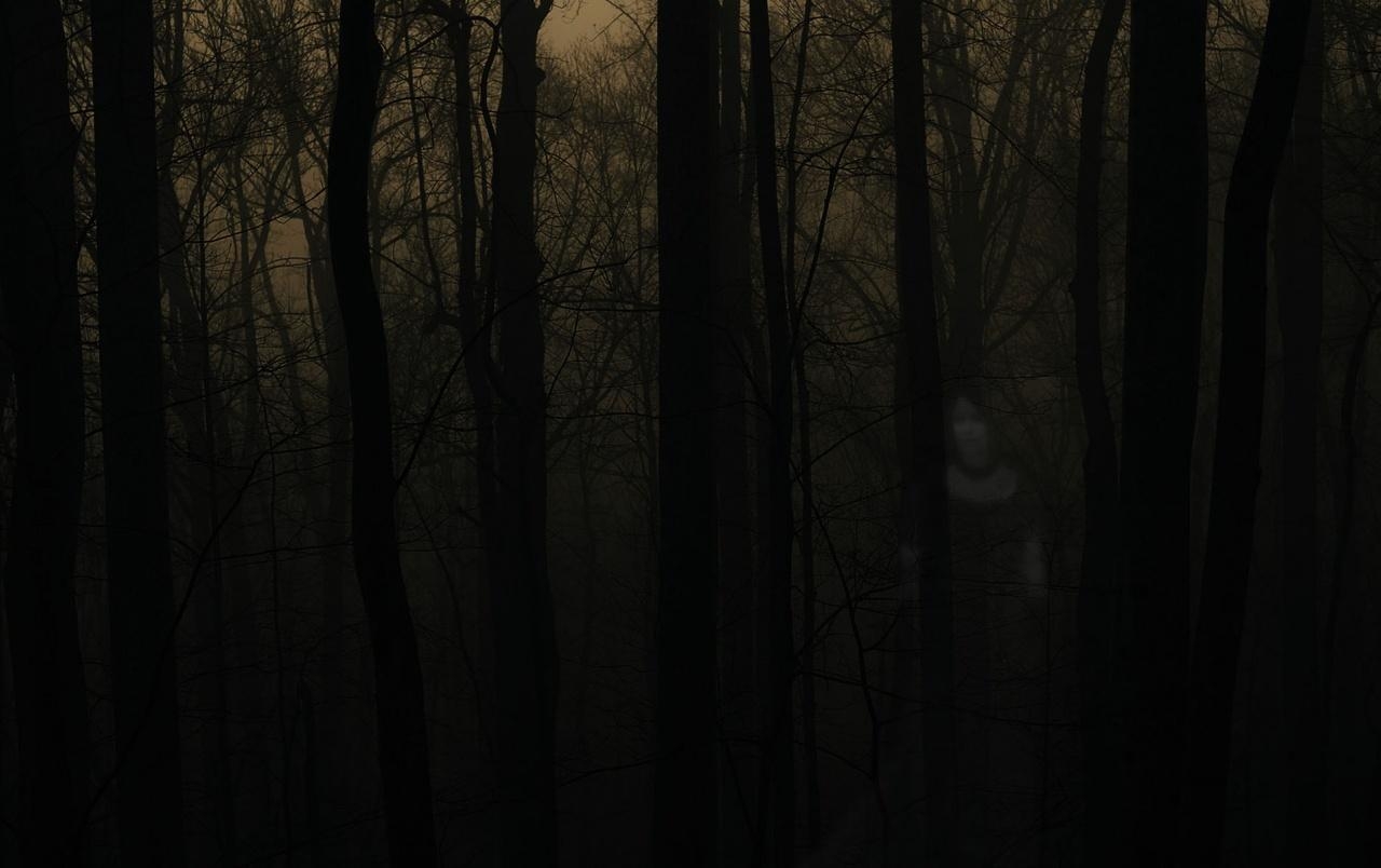 1280x810 Haunted Forest wallpaper. Haunted Forest, Desktop