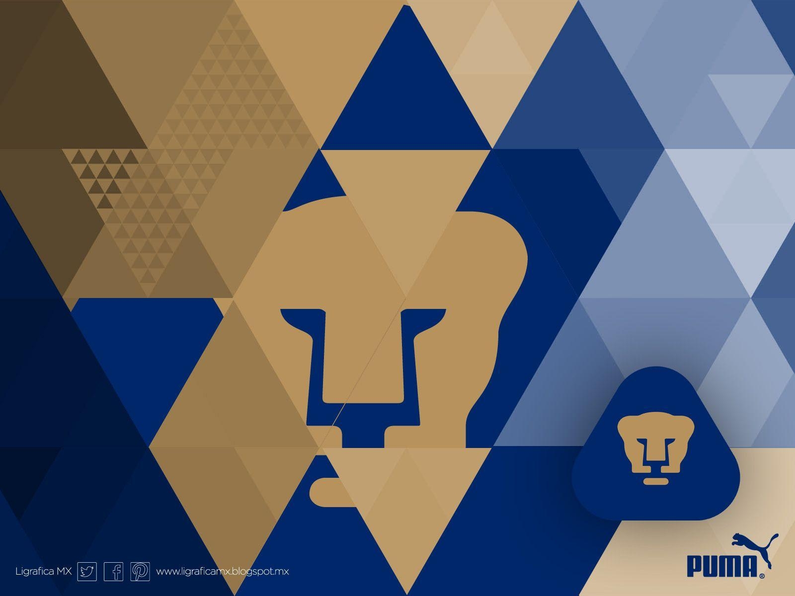 1600x1200 Pumas UNAM • • LigraficaMX 021213CTG(2). pumas wallpaper, Desktop